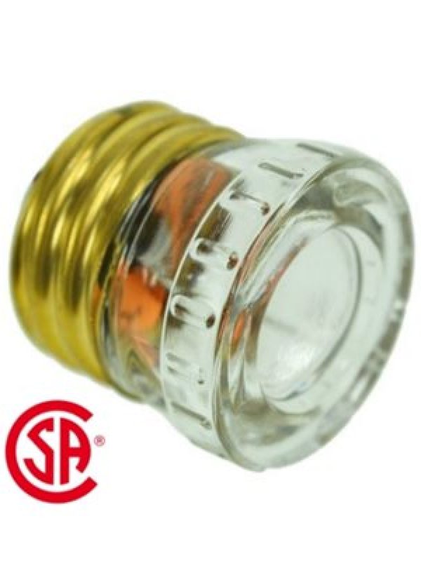 20 AMP Fuse